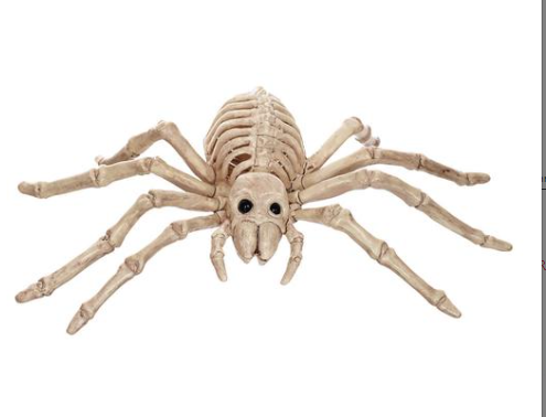 Rachelc24122995's tweet photo. @AdoptMeNews_ wonderful but can i get a tarantula pretty please with a huge🍒on top 🙏🙏🙏🙏🙏🙏🙏🙏🙏🙏🙏 https://t.co/pnFhfZMWB3