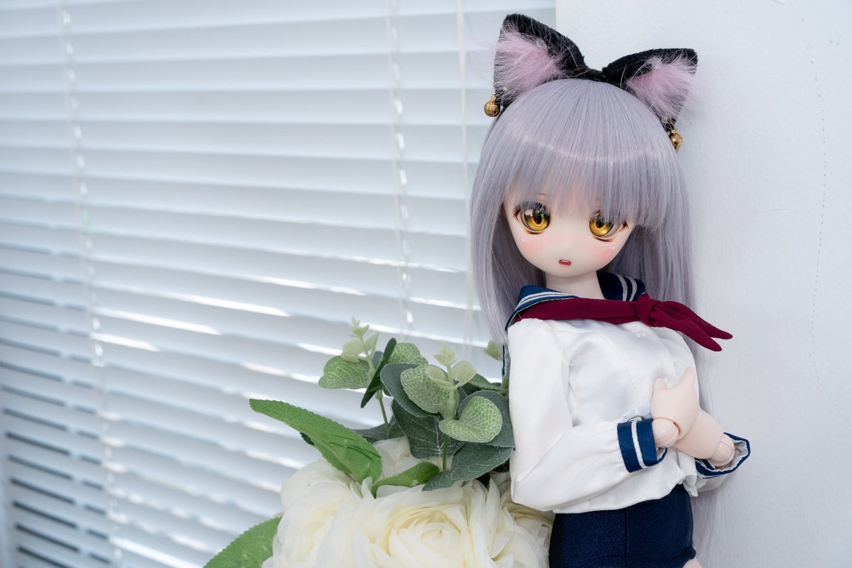 mokomokachann's tweet photo. スク水セーラーなゆめみにゃん🐾
#うちのこかわいい
#RIRIっ子
#ゆめみちゃん https://t.co/VeK5iLSv56