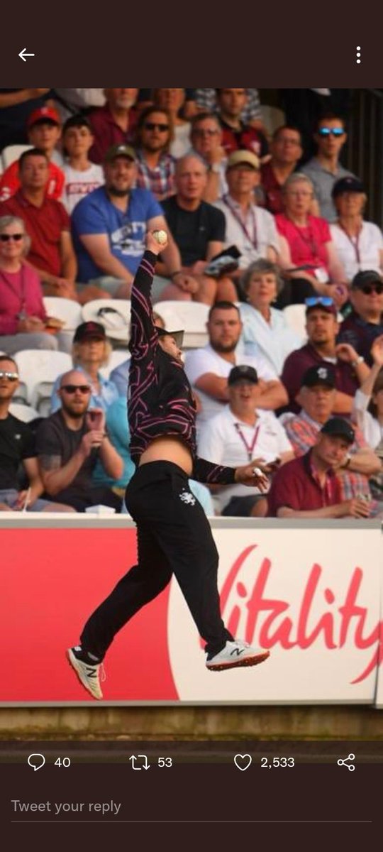 Tobys__dad's tweet photo. @SomersetCCC This as that is me in the front row purple shirt! https://t.co/lBcLVOZxJP