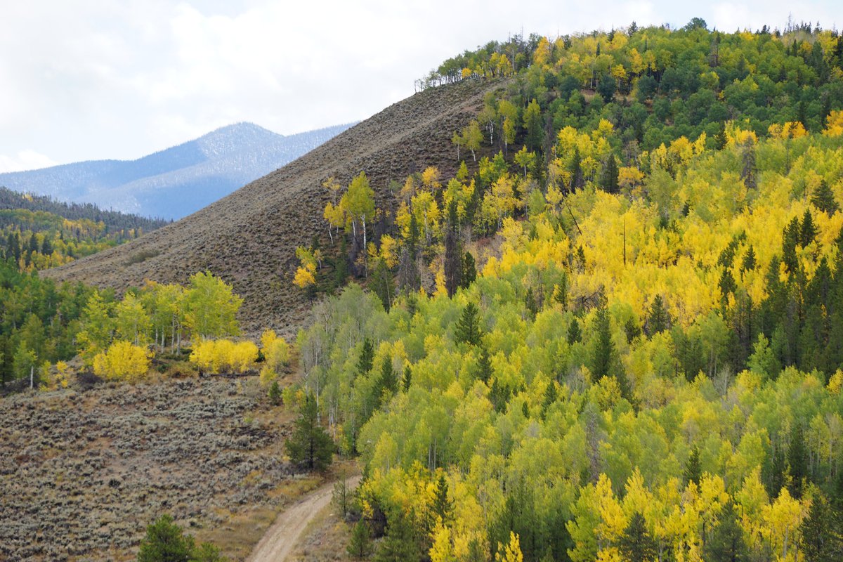 Ski and Ride School lessons, Rentals, and Tickets will be on sale in late October.  We appreciate your patience while we improve our e-commerce platform.

In the meantime, stop by and enjoy the fall colors during our last open weekend of the season!