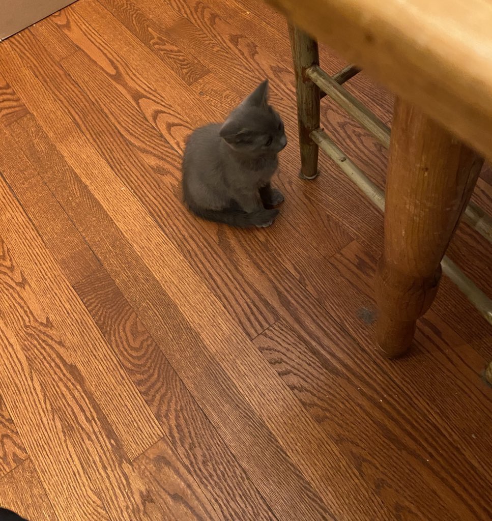 chad, red lip cutie tweet media