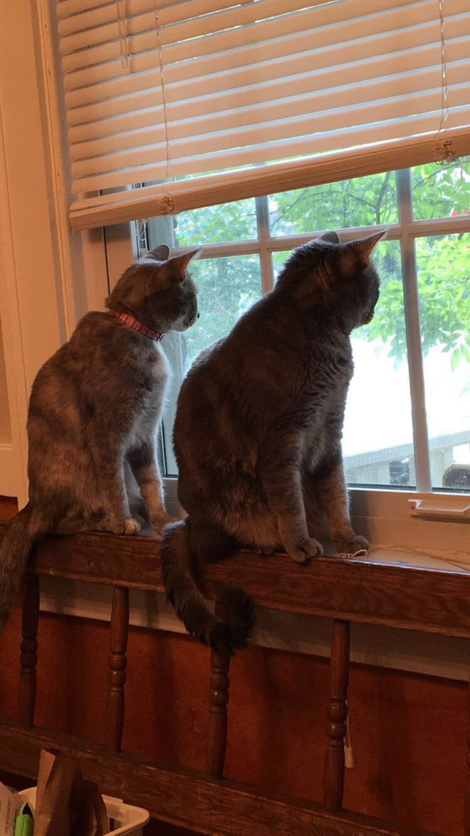 chad, red lip cutie tweet media