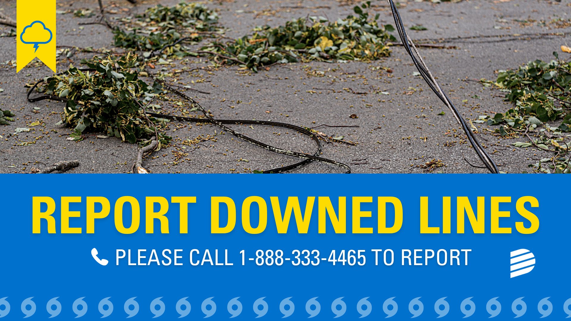 Dominion Energy South Carolina (domenergysc) / Twitter