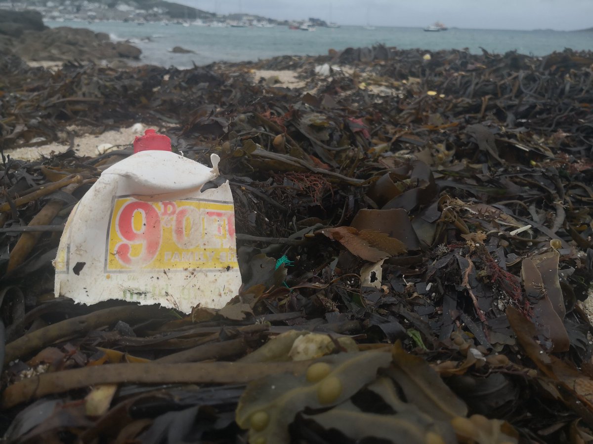 BareFoot_IOS's tweet image. A pre-decimalisation #FairyLiquid bottle washed ashore in #Scilly today (Decimal Day in the UK was Monday 15 Feb 1971; making this bottle a minimum of 51 years old.)
🌊
Possibly released from the sand at PorthLoo as a result of the current #SeaDefence work.

#IslandLife #Plastic
