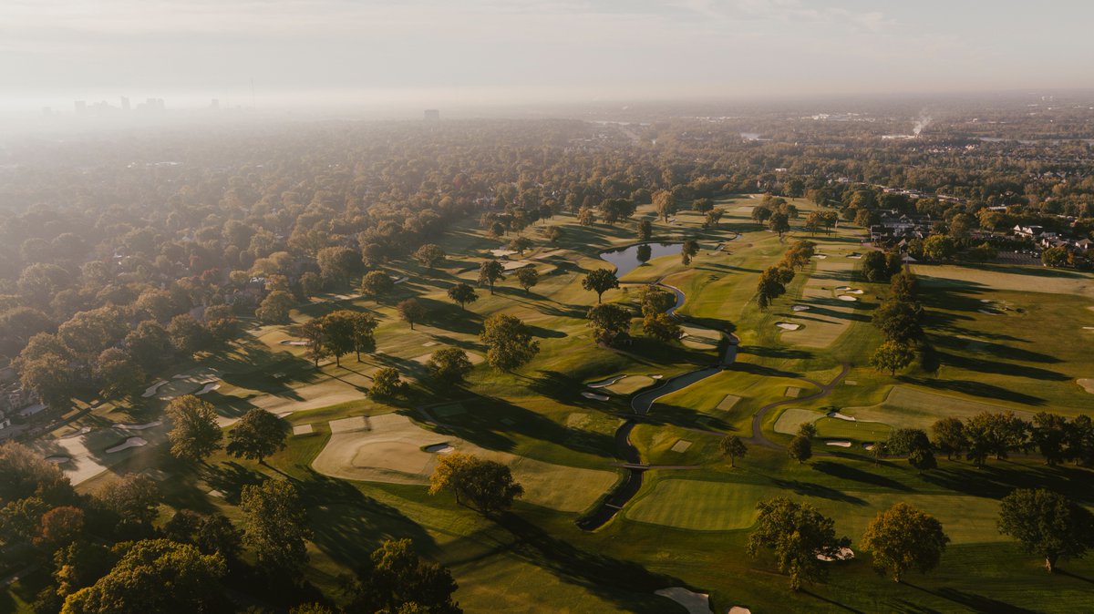 Fried Egg Golf tweet media