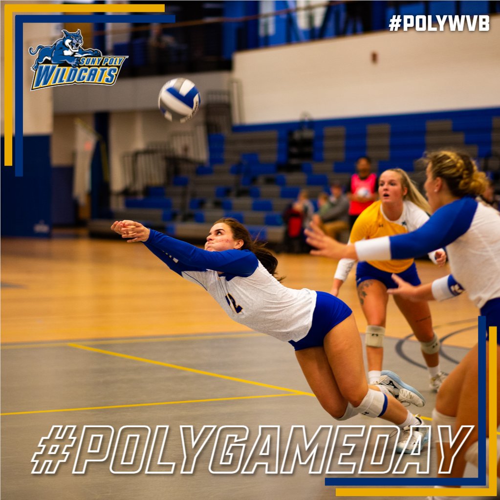 PolyWildcats's tweet photo. #PolyGameday๐ก๐ต๐
Womenโs volleyball travels to Wells College tonight!
๐ - 7:00 PM
๐ - Aurora, N.Y.
๐บ๐ - Check our schedule for live coverage links
#PolyWVB #d3vb https://t.co/Ho5qhnT1FT