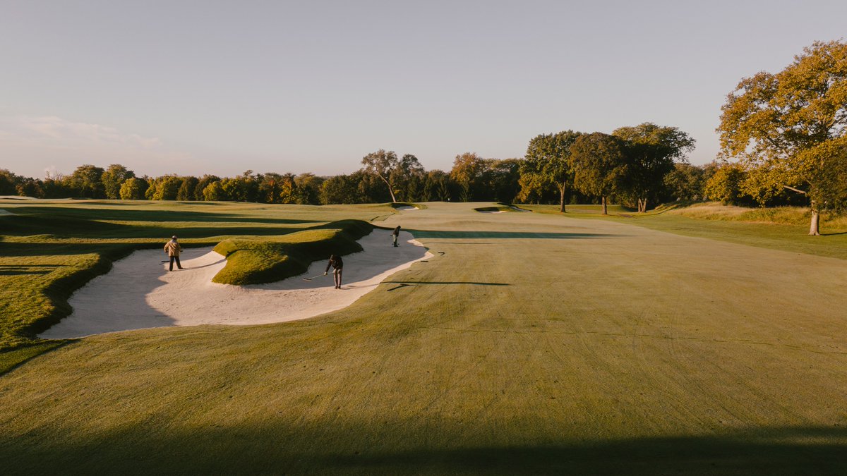 Fried Egg Golf tweet media