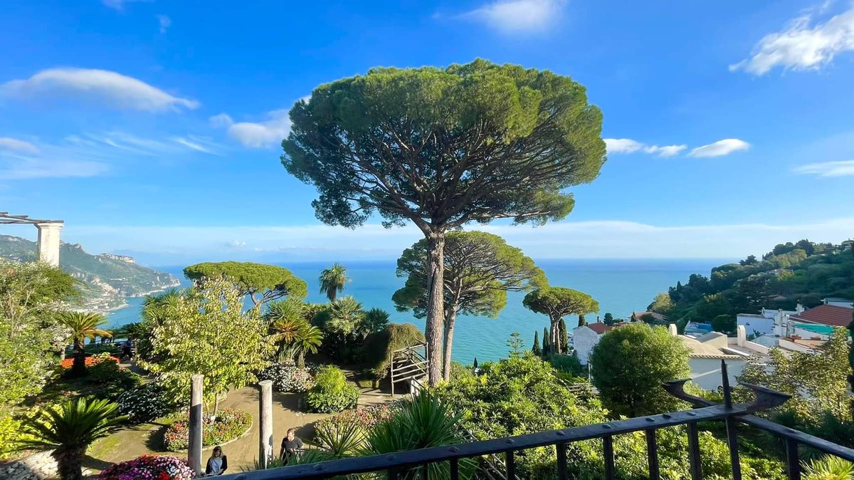 John Plummer tweet media