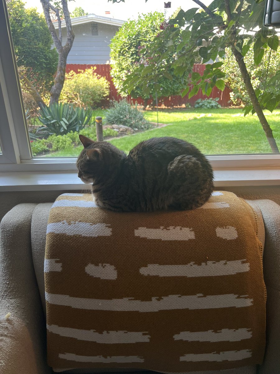 Raife Neuman tweet media