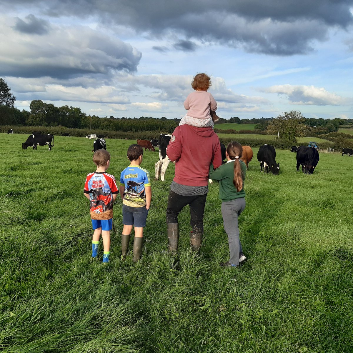 Elaine Hickey tweet media