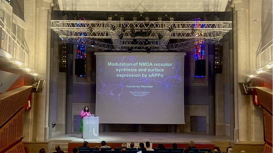 CourteneyMW's tweet photo. What a week! #brainconf 2022! Had such an amazing time in Bordeaux learning about the latest and greatest in plasticity research and sharing my phd work with such an awesome community! 🤩🧠  @iins_bordeaux @Neuro_Bordeaux https://t.co/xkrur5hXWw