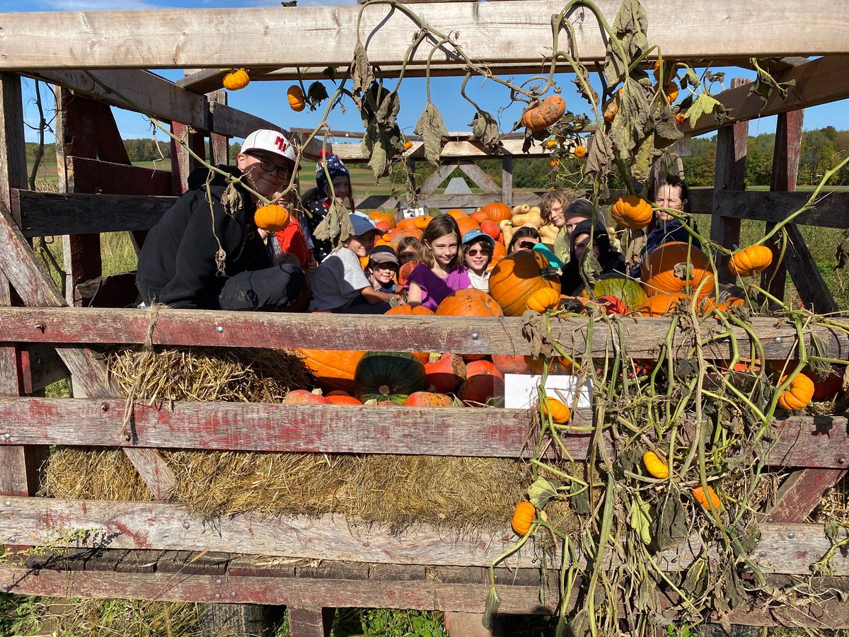 LakeCountryMN's tweet photo. FARM FRIDAY: The LCS Harvest Festival is tomorrow at the Land School from 11:00am-3:00pm. Class G has been hard at work this week helping prepare for the big event! See the full details here: https://t.co/Kaymbn7Yfb https://t.co/P5FpJ0y6EI