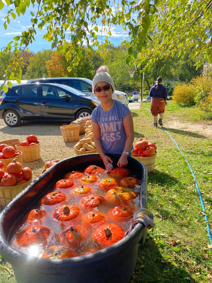 LakeCountryMN's tweet photo. FARM FRIDAY: The LCS Harvest Festival is tomorrow at the Land School from 11:00am-3:00pm. Class G has been hard at work this week helping prepare for the big event! See the full details here: https://t.co/Kaymbn7Yfb https://t.co/P5FpJ0y6EI