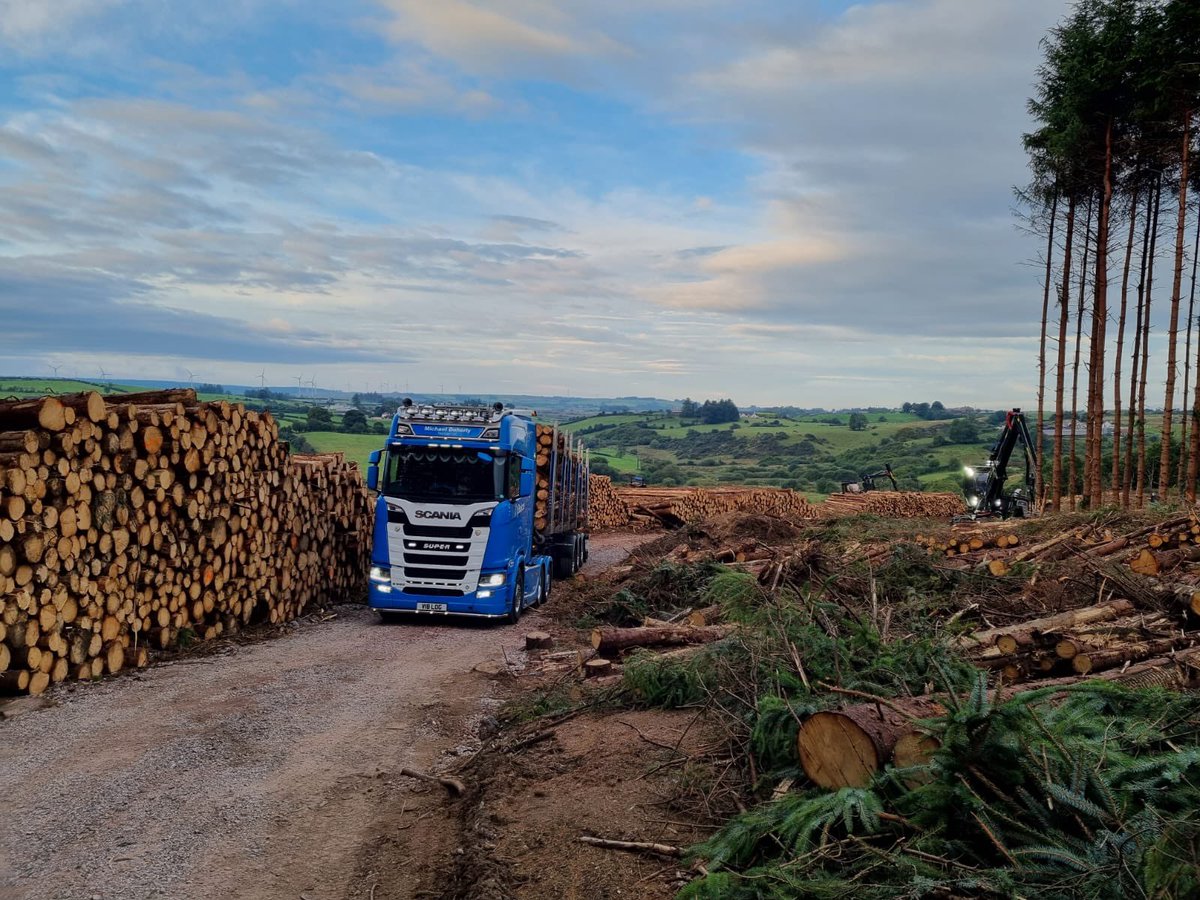 Michael Doherty tweet media