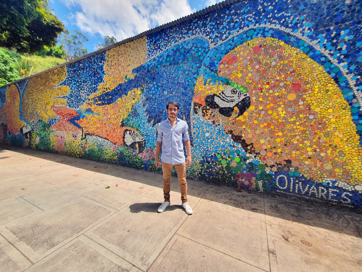 Olivarescfc's tweet photo. Los murales de El Hatillo, La Grita y Guatire serán parte del catálogo de la Galería Mecenavie en la Feria de Arte del Carrousel del Louvre en Paris.

El objetivo del catálogo es mostrar las obras más destacadas de los artistas participando en la feria. https://t.co/5VI8czO2EI