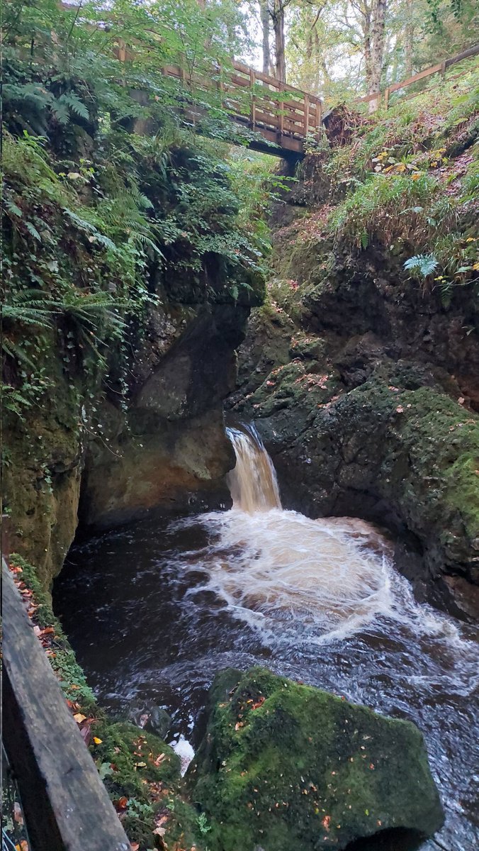 PetsSit's tweet photo. Wet weather gear essential when #housesitting in #Scotland! 🏴󠁧󠁢󠁳󠁣󠁴󠁿 It poured all day but we managed to go for a quick 🐕🐶 walk between showers!! Adding 💧💧to the linn. @Housesitting https://t.co/p76nIOWBqM