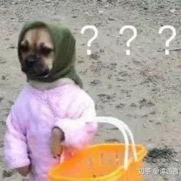 trying to understand how the spray paint on bella hadid turned into a full moving coperni dress