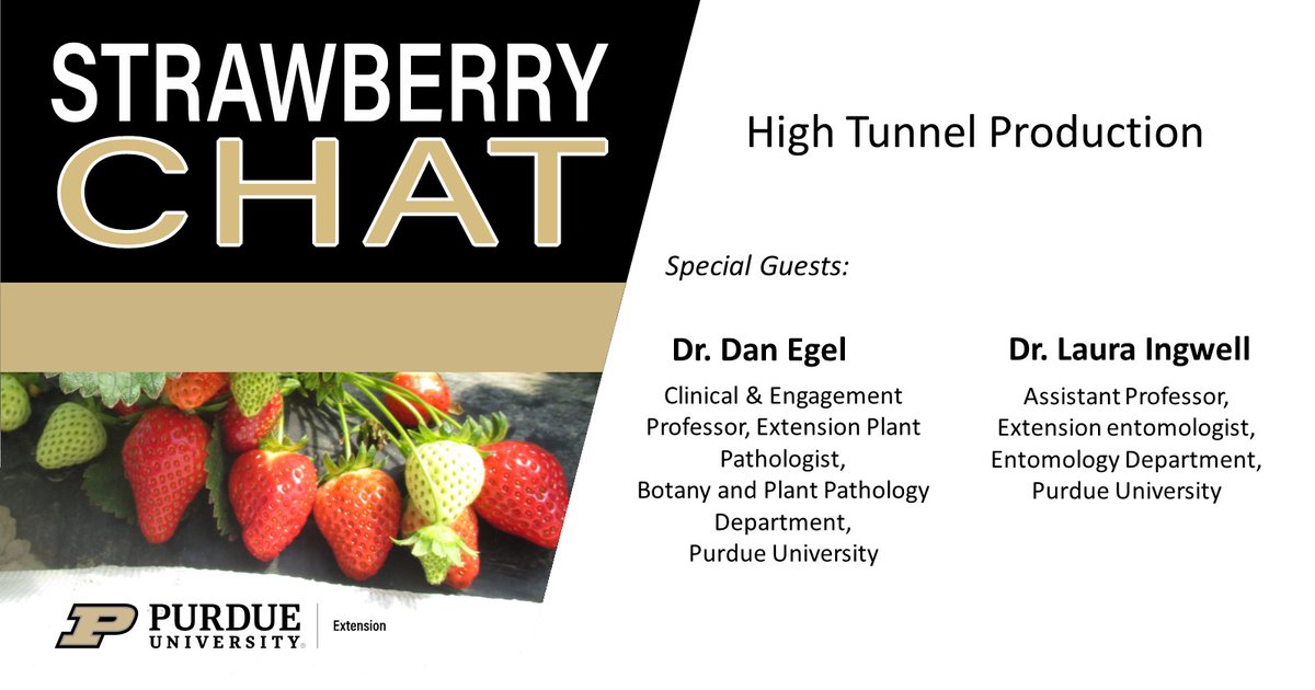 Oct. Strawberry Chat. High Tunnel Production.  Register  purdue-edu.zoom.us/meeting/regist…