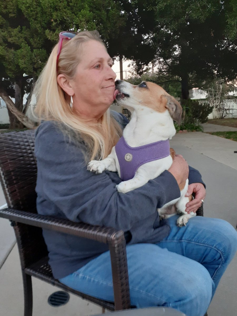 <a href="/RoxybooMagic/">Patti Chapman</a> Today our girl Patti lost her best friend Boo 😢 She gave him the best life ever! This little man gave her so much love, as she did for him! I'm so sorry Patti, I love you so much! 💔❤😘😘
RIP BOO 🐾🌈