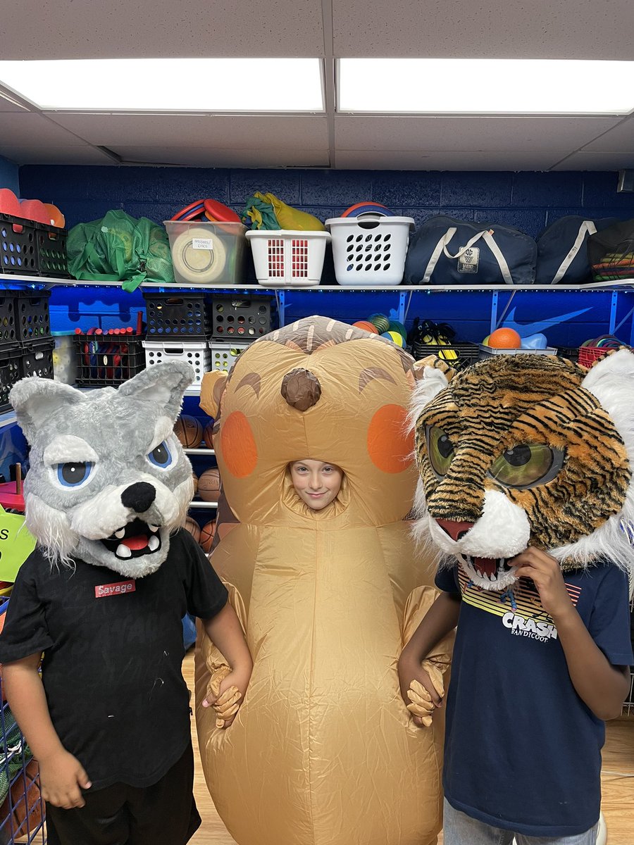 Mike_Ell96's tweet photo. Our mascot reveal @HadfieldHuskies today!  Welcome  Hedgehogs!  #kidsvote https://t.co/y8XmhL387N