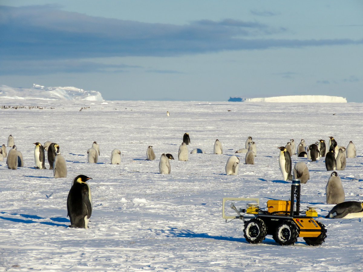 Interested in a doing a postdoc with #emperor #penguins and #Robotics/AI/ecosystem remote sensing at @WHOI?. @NSF OPP and WHOI have great postdoc fellowships opportunities.  Approach me if you are interested.
#Antarctica

nsf.gov/pubs/2022/nsf2…

whoi.edu/what-we-do/edu…