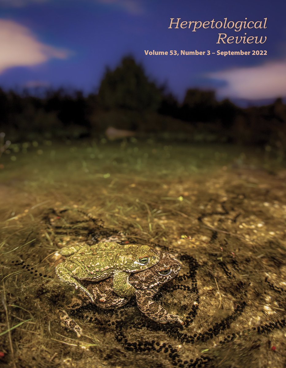 ssarherps's tweet photo. #Herpetologists rejoice - the September issue of Herpetological Review is here, and the cover image is stunning ! 🐸💕🐸

Full contents are now available online to #SSAR members at https://t.co/7bEyvuMh5P

Cover photo shot by Javier Lobon-Rovira in Spain. https://t.co/hpZijwVLSe