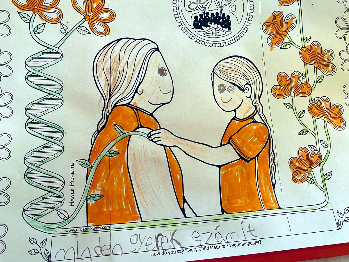 Héba Elshamy tweet media