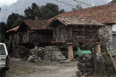 arquitectura popular tweet media