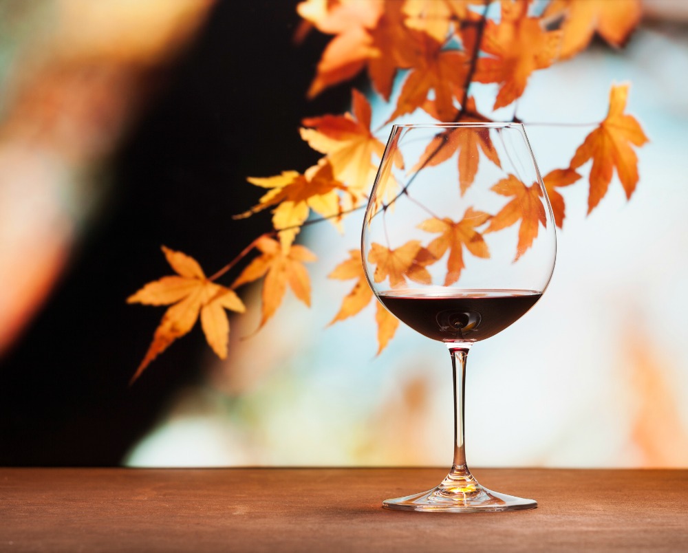 Next up! It's an October newsletter filled with great selections, tastings, and a return sit-down event. As the leaves turn and harvest begins, let's celebrate the season. conta.cc/3SlHUYj