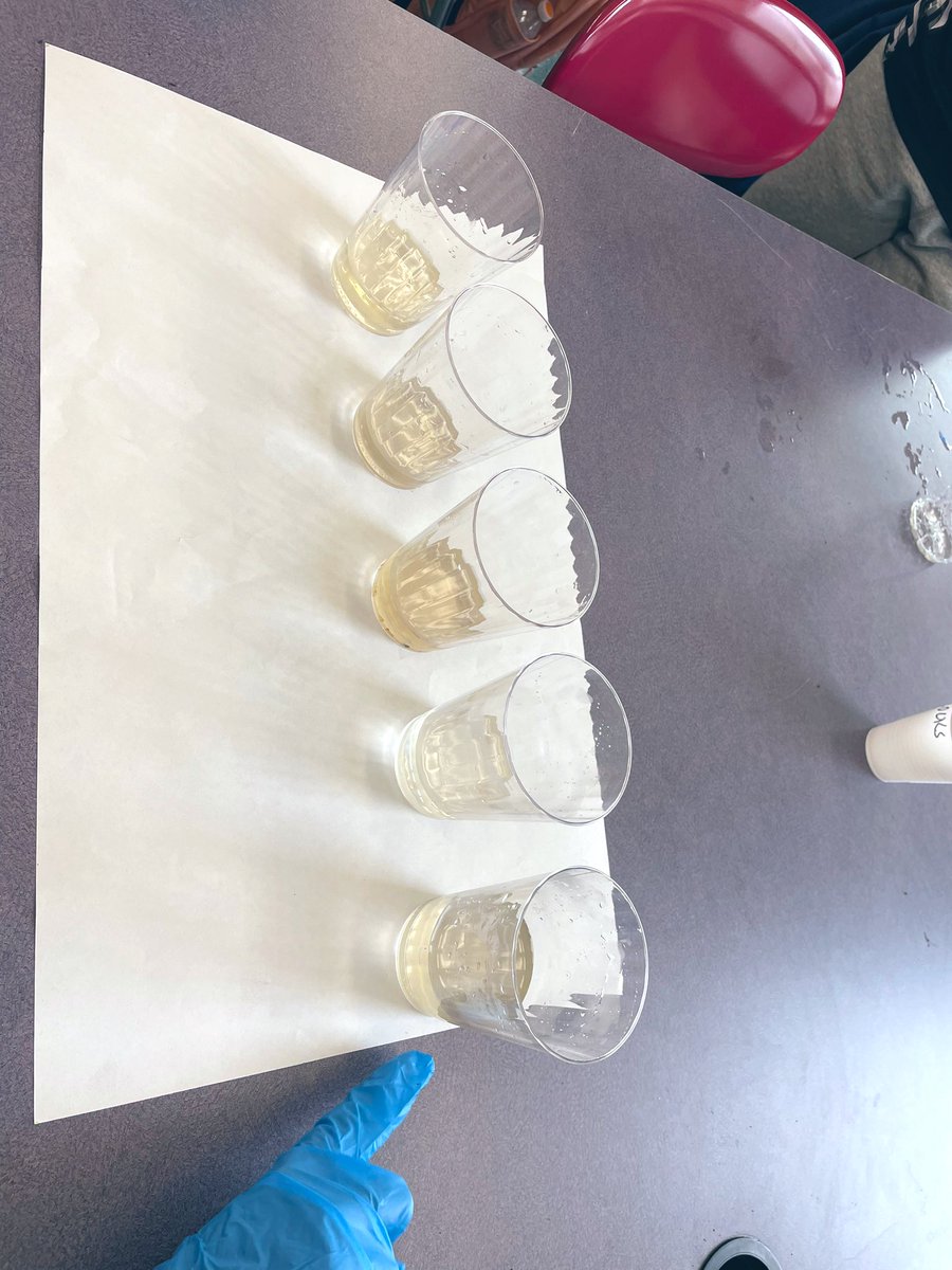 Today we used the engineering  design process  to create a filter &amp; remove sedimentary pollution from our water samples. #bmspride #stem