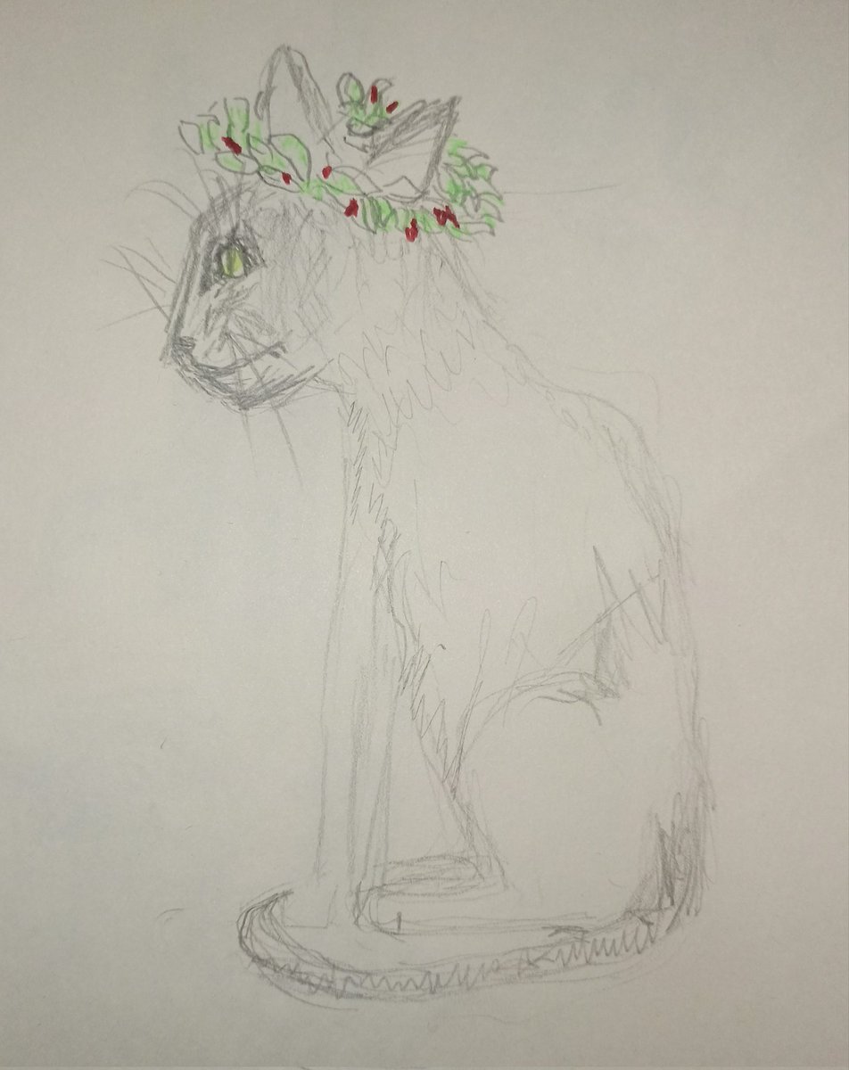 tannico72's tweet photo. 30 erfolg-
#Catember22 https://t.co/copcojOROt