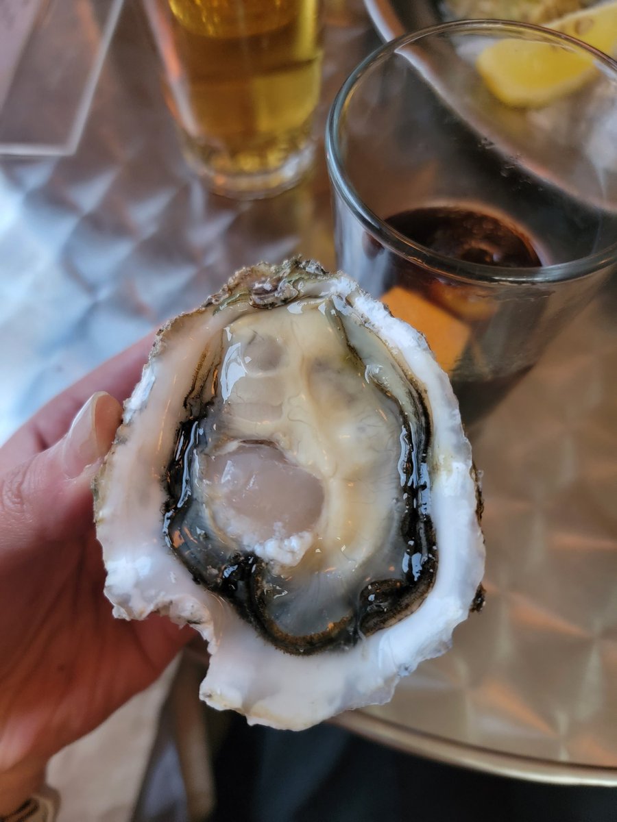 Julie Qiu tweet media