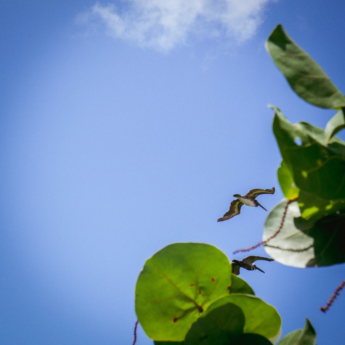 stumblesteady tweet media