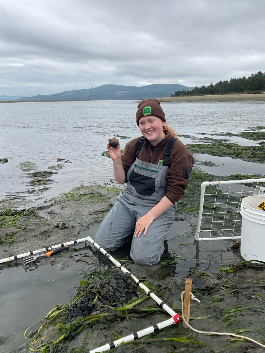 SMS Benthic Ecology Lab (@benthicbrigade) on Twitter photo Meet Emma Chesley <a href="/em_chesley/">Emma Chesley (she/her)</a>, the Benthic Ecology Lab’s new research technician. Emma earned her B.S. in Fisheries and Wildlife from the University of Nebraska-Lincoln in May 2022. Born and raised in Nebraska, it can be surprising to find out she’s so interested in the ocean. Meet Emma Chesley <a href="/em_chesley/">Emma Chesley (she/her)</a>, the Benthic Ecology Lab’s new research technician. Emma earned her B.S. in Fisheries and Wildlife from the University of Nebraska-Lincoln in May 2022. Born and raised in Nebraska, it can be surprising to find out she’s so interested in the ocean.
