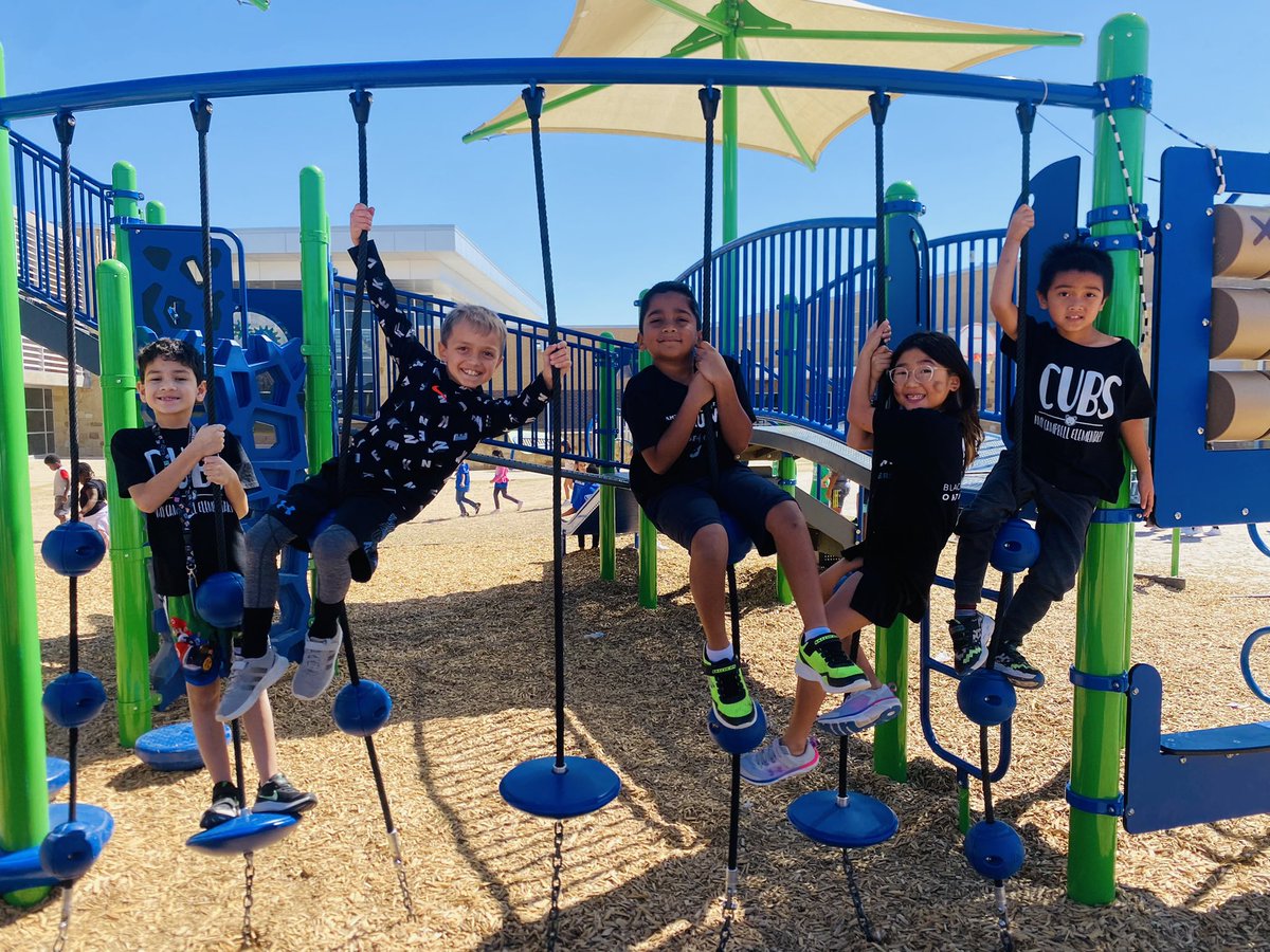 KAndersonMath2's tweet photo. We had the BEST time at our House Pep Rally today! 💙💚🖤❤️ #ACEcubs 🐻 https://t.co/crYD7Fxdtg
