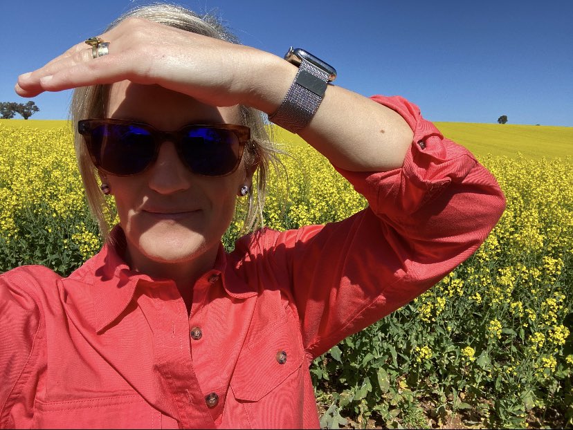 AngelaByron_'s tweet photo. Fields of gold at Harden NSW 🌼 

#canola #agriculture #drones https://t.co/DAcHiVZ2ac