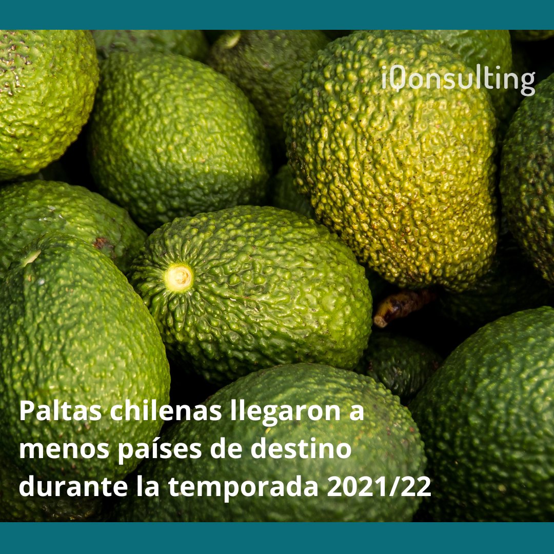 🥑 Austria, Bélgica, Francia, India y Suecia no recibieron exportaciones de la fruta, de acuerdo a lo analizado por iQonsulting.

📊 Muy pronto toda la información en nuestro sitio web.

#iQonsulting #iQnews #temporada #palta #paltachilena #análisis #mercados #exportación