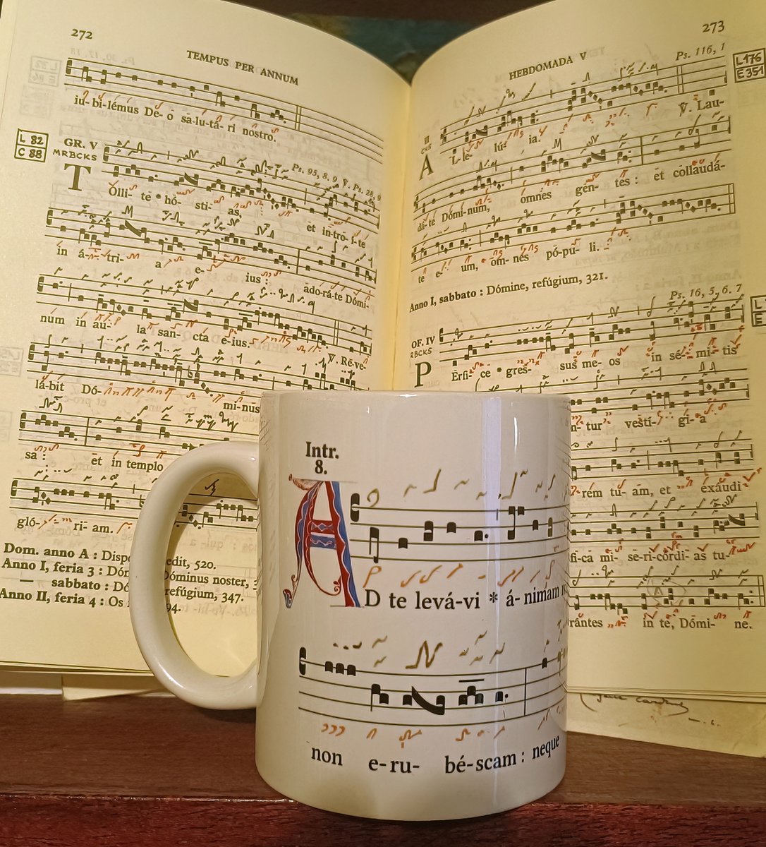 Soon, other triplex mugs....
Which chant would you like?
teezily.com/stores/histori…