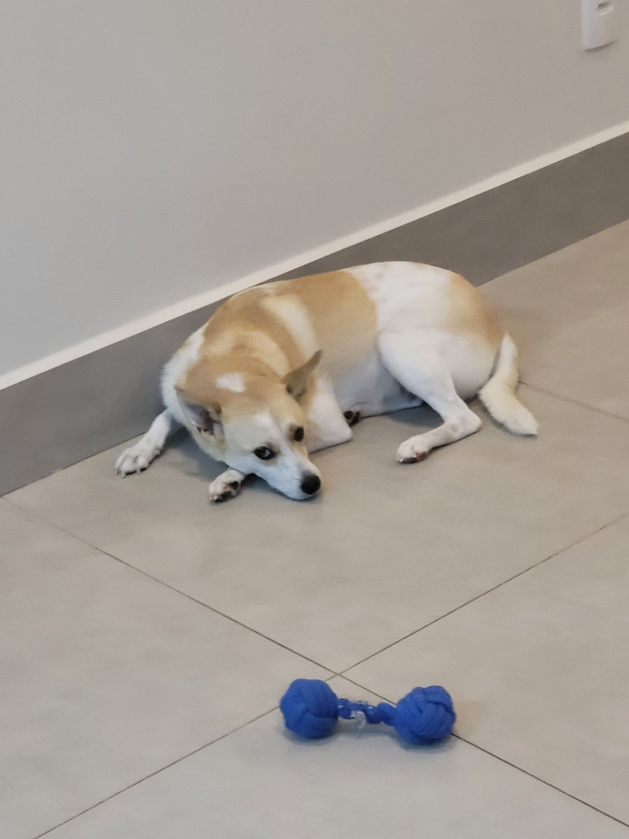 gi tezoni #ASRPG tweet media