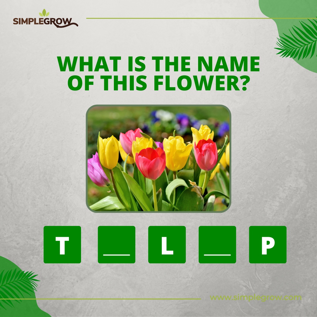 Simple Grow tweet media