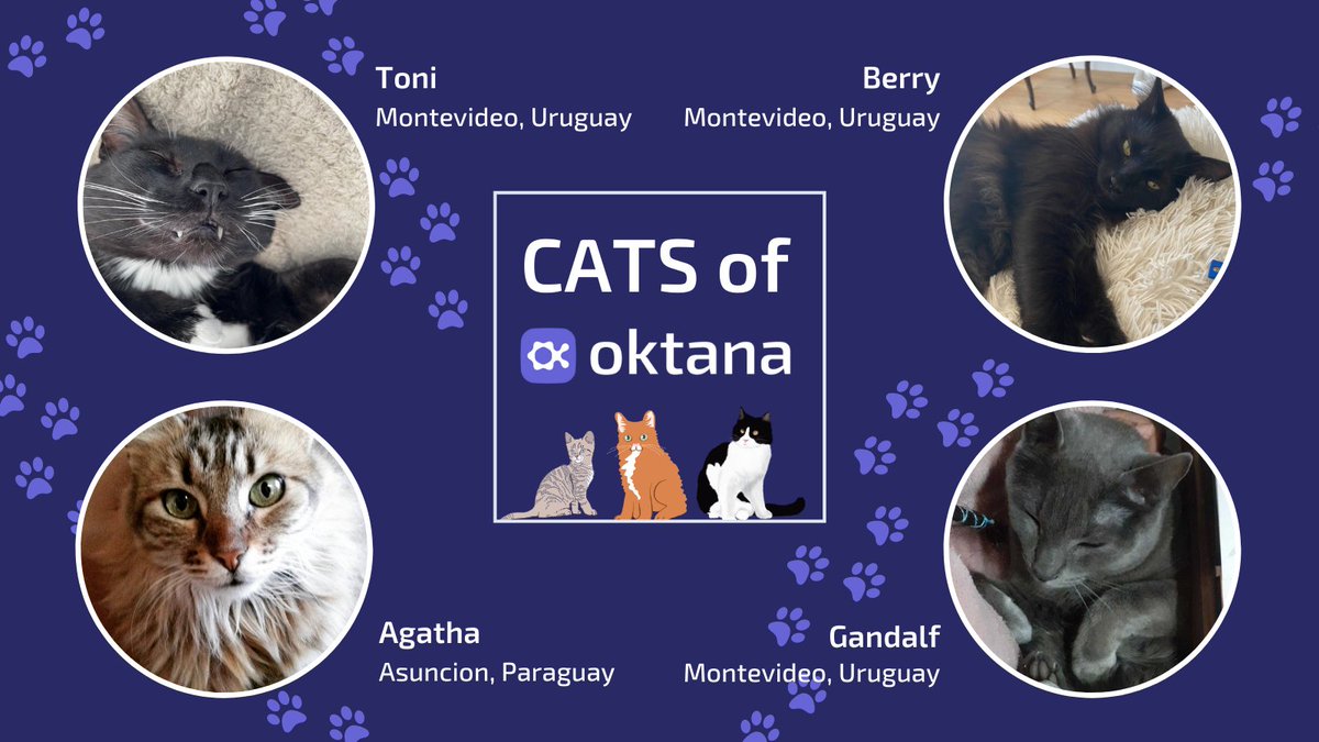 OktanaCorp's tweet photo. Here at Oktana, thereโs maybe one thing we love more than Salesforce Development, and that is our pets! Check out this cool cat pack ๐ฑ. They deserve ALL the catnip!
#oktana #cats #employeepets https://t.co/VNZIwcl5eO