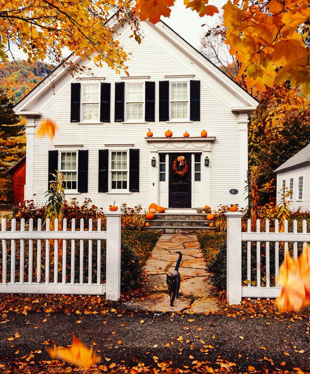 OctobersLeavess's tweet image. TOMORROW is October 1! 🎃