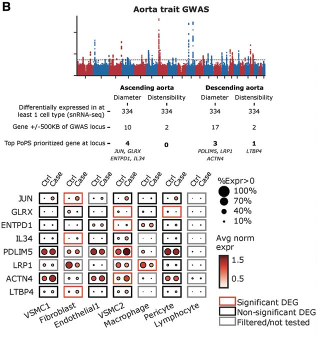 Liz Chou tweet media