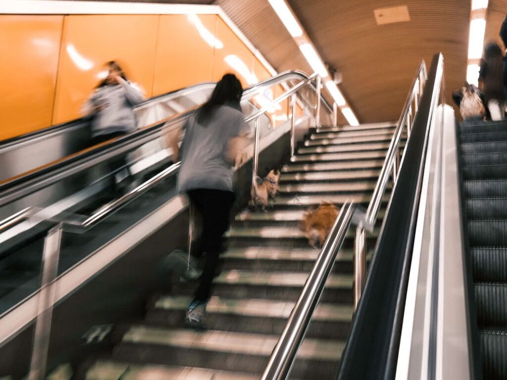 gutivis's tweet photo. Madrid, 2022.
#streetclassics #streetphotographybrazil #streetleaks #life_is_street #streetsansfrontieres #fromstreetswithlove #ourstreets_ #observecollective #fivesixmag #fujifilm #Xphotographer https://t.co/qZVr4LsjDx https://t.co/LMHx0SKMOn