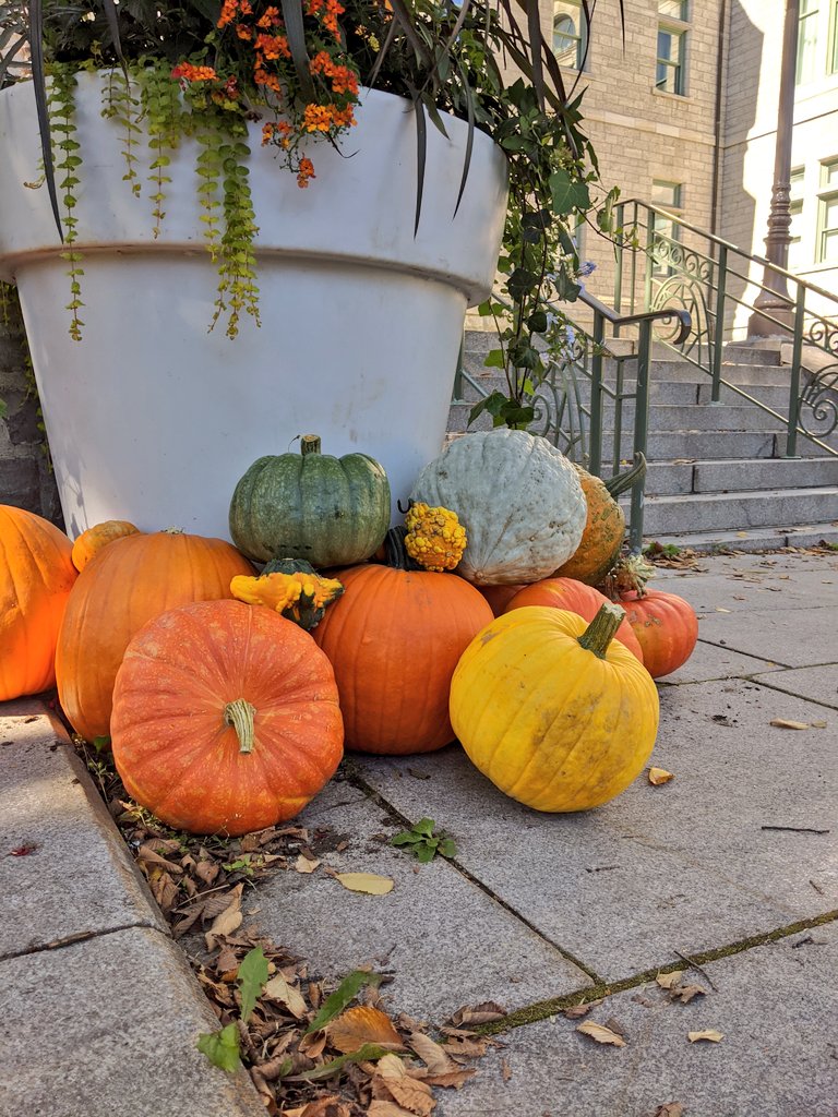 Katherine Elliott tweet media