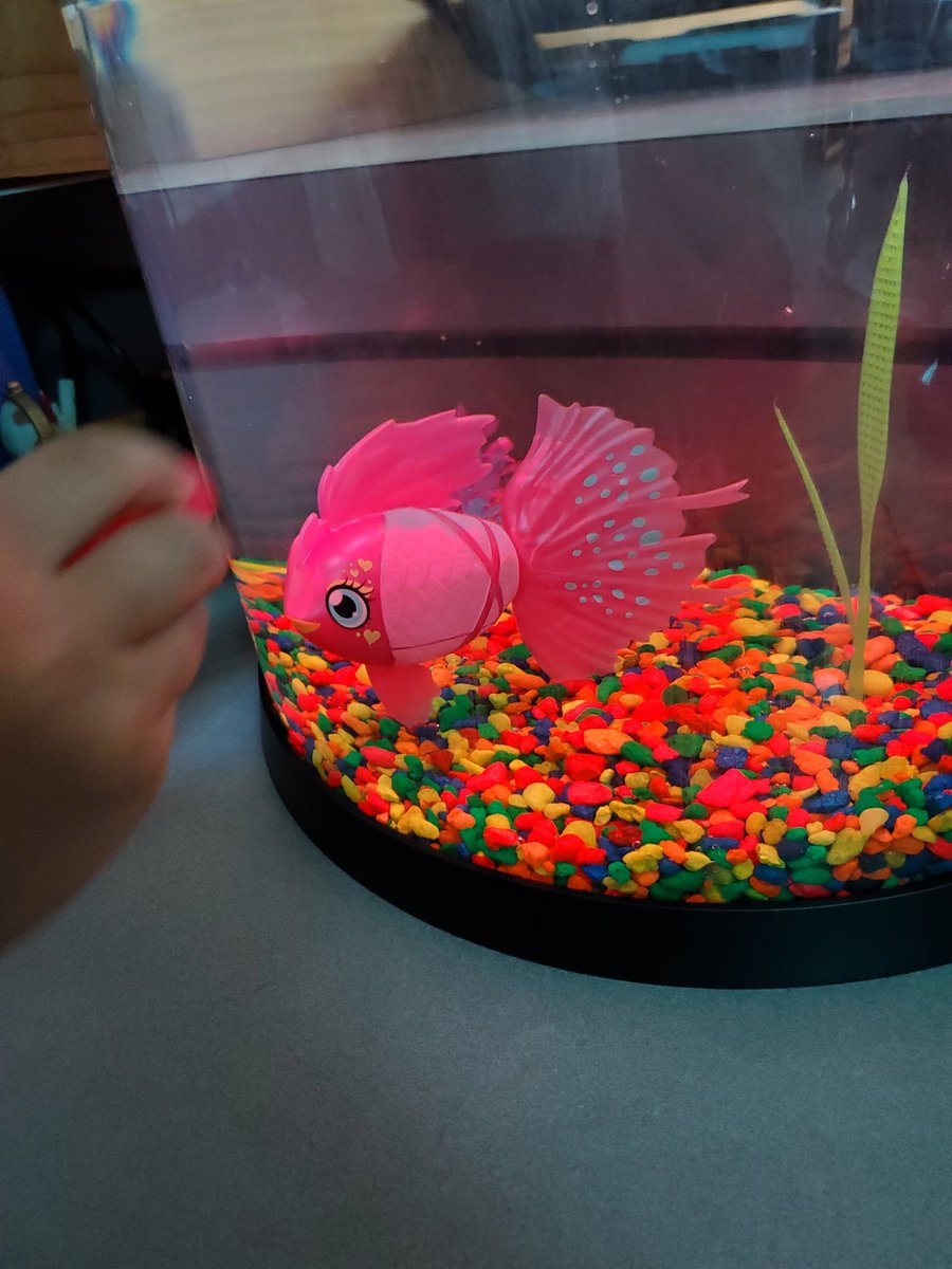 Cherie Warren tweet media