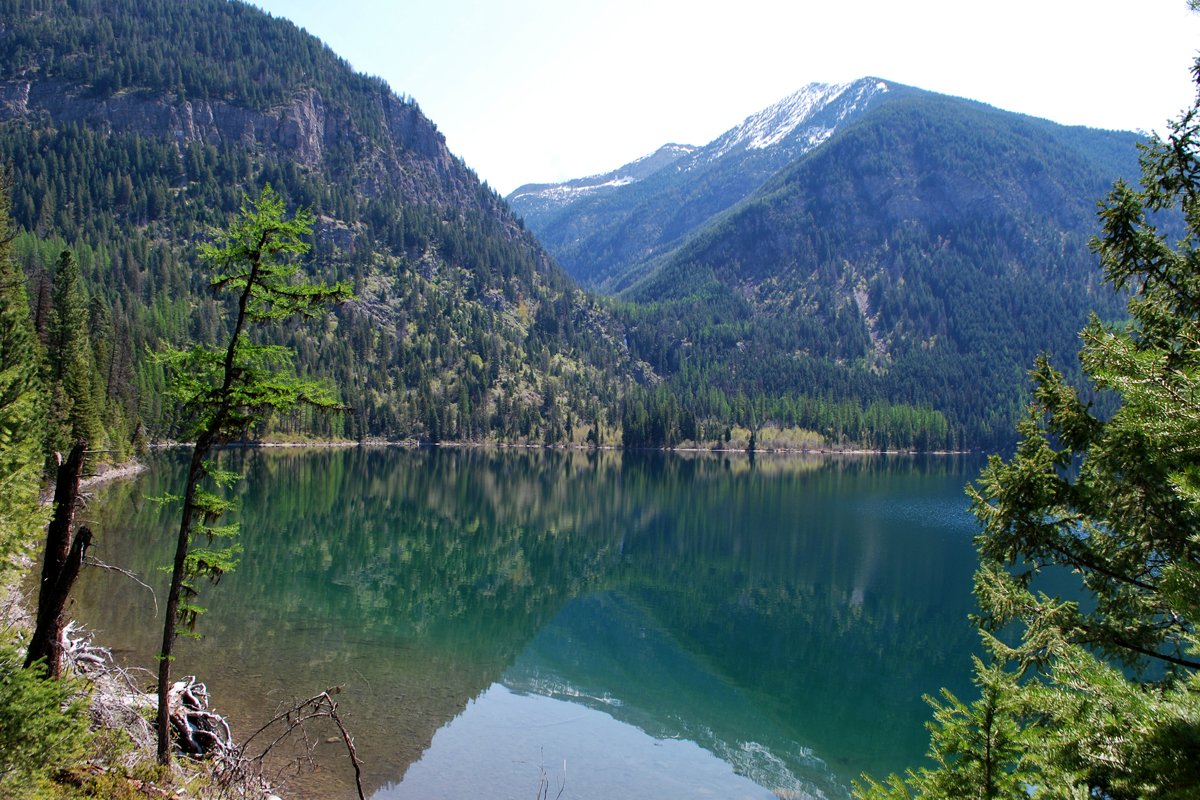 WildernessWatch's tweet photo. CORPORATE RECREATION proposed for the Holland Lake Lodge near the Bob Marshall #wilderness.
"This is commercialization of public lands for corporate profit at the expense of Montana’s wildlife and wildlife habitat."
https://t.co/4VxqRTricA https://t.co/Tj1p2aY0dx