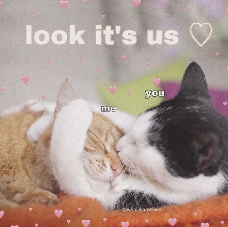 cravedcuddle's tweet photo. https://t.co/LEHaNvkO0K