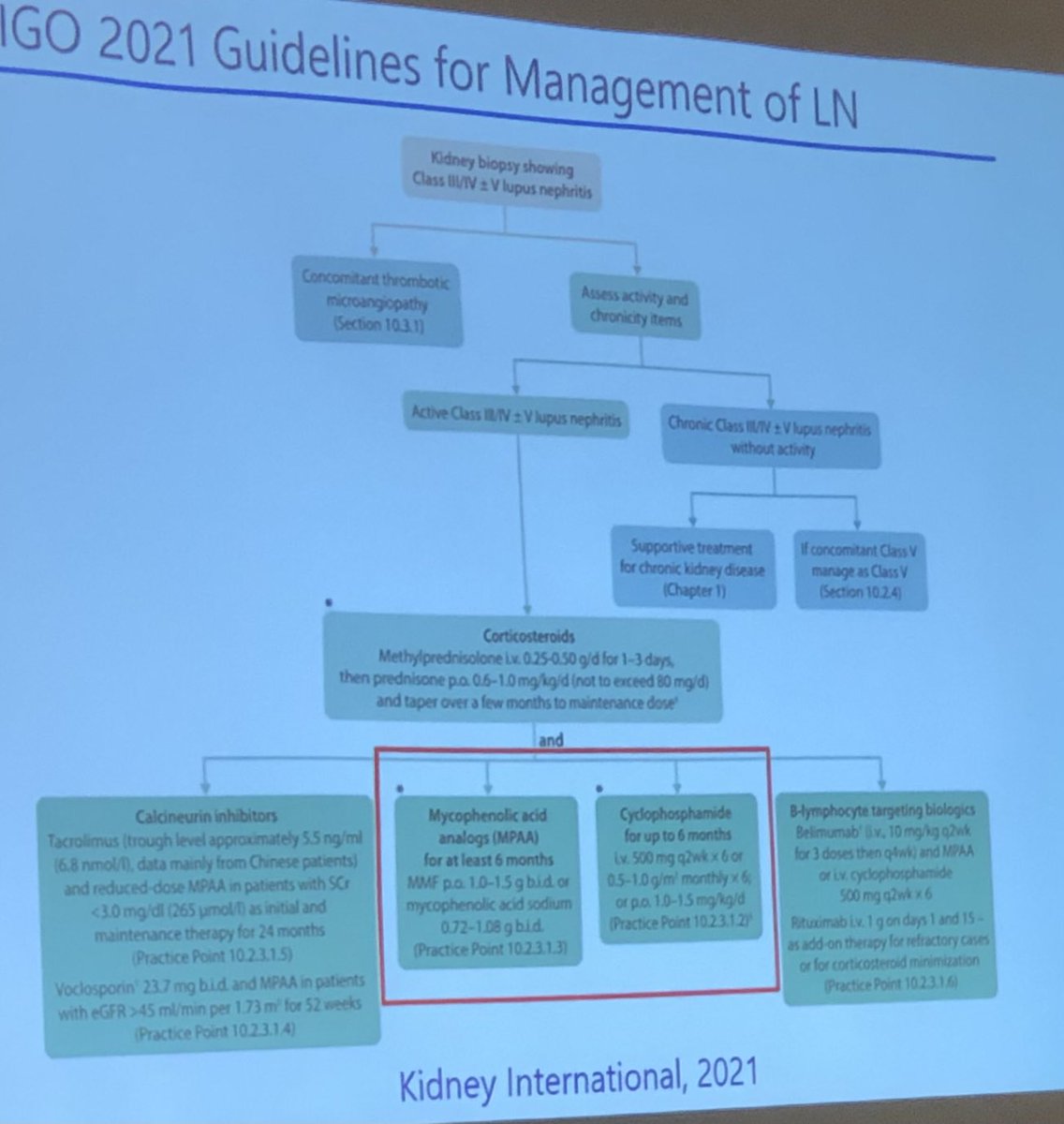 Janetbirdope's tweet photo. #ClinicalPearl Active #lupus #nephritis should start with double therapies of immune suppression and step down over time. KIDIGO guidelines. Stop scarring kidneys of our #SLE Pts with too much 10 yr end stage renal failure! #BRIESE mtg Vancouver ⁦@mariadallera50⁩ https://t.co/B3imT8ZrVj
