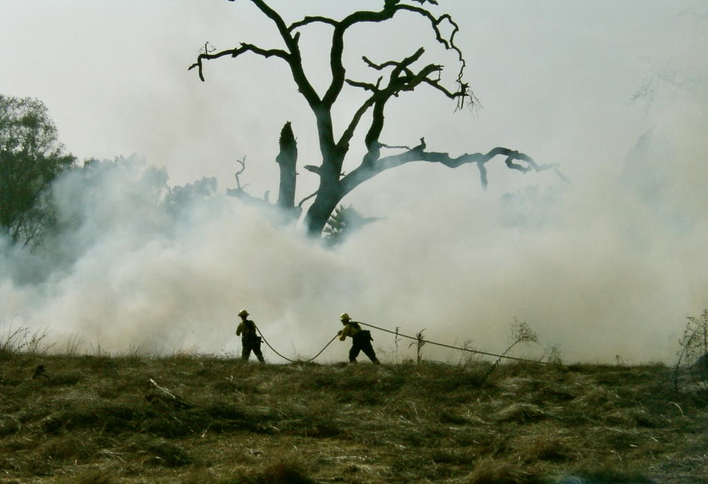 CanyonCoyote1's tweet photo. Just another day in California
#fire #firefighters #wildfires #publicsafety #californiaheatwave #NaturePhotography #nature #trees #photography #photo #Friday https://t.co/5XK3G4Aoze